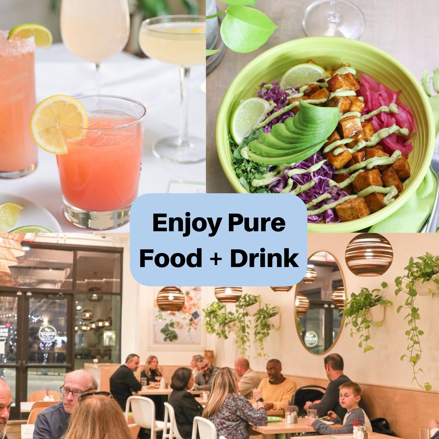 Daily Dine Card